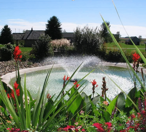 Why the Right Pond Fountain Changes How Your Outdoor Space Feels