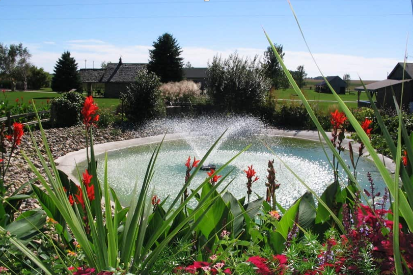 Why the Right Pond Fountain Changes How Your Outdoor Space Feels